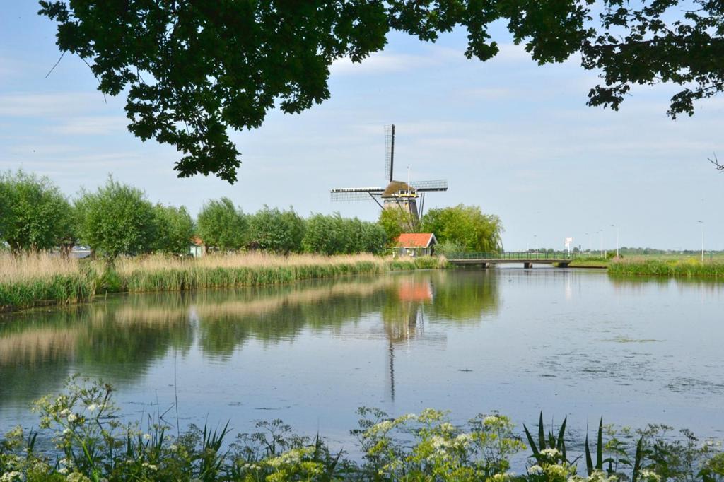 Bed & Breakfast Donna Pijnacker Bagian luar foto