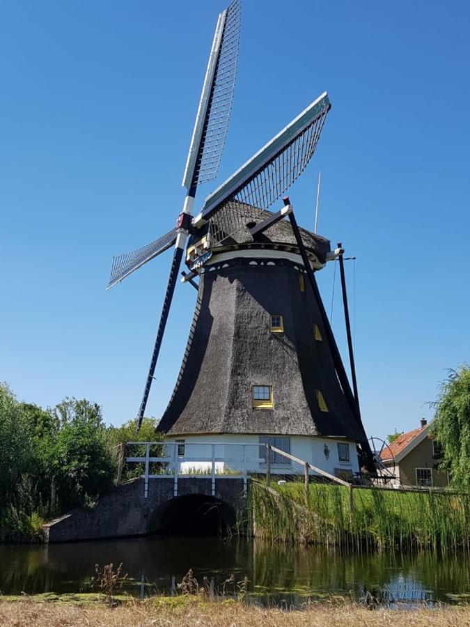 Bed & Breakfast Donna Pijnacker Bagian luar foto